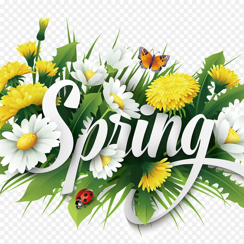 ���ڱ�ǩ-������