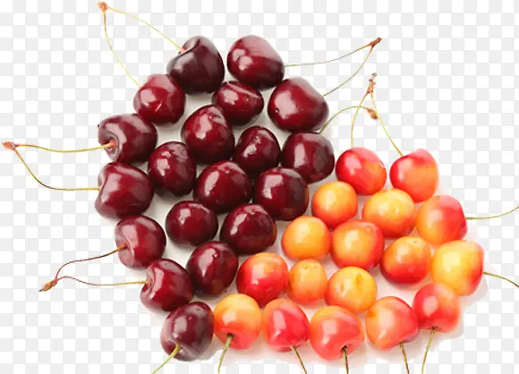 ����ӣ�Ұ��ĺ���-������