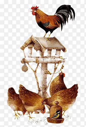 �����廭-������