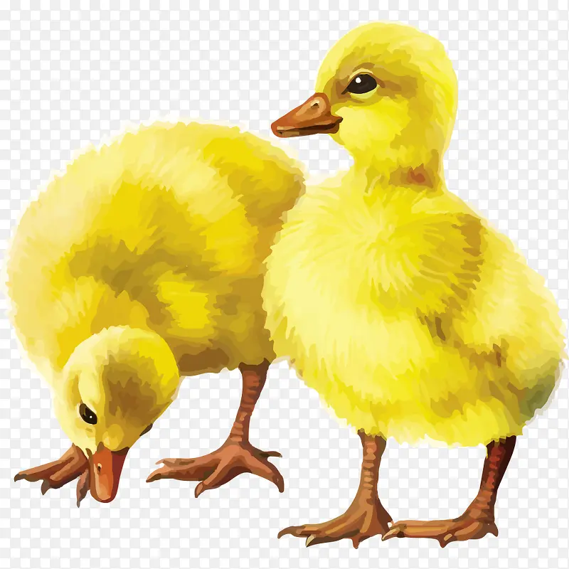 ʸ��С��-������