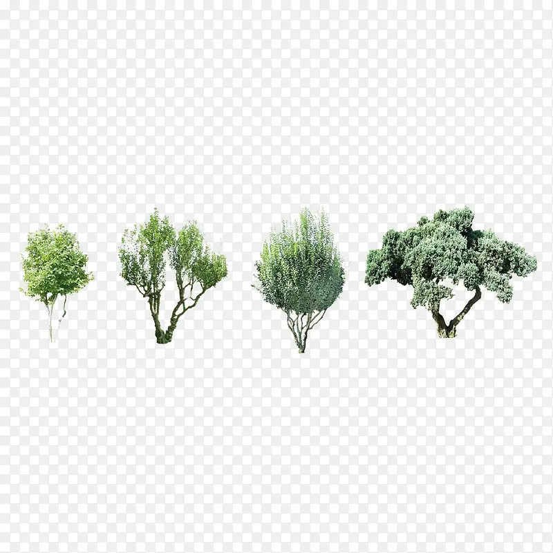 ��������-������