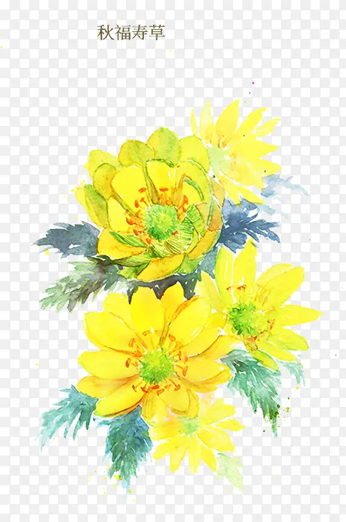 �︣�ٲ�-������