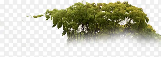 ��԰������������-������