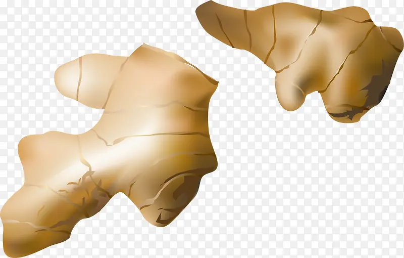 �������ʳ������-������