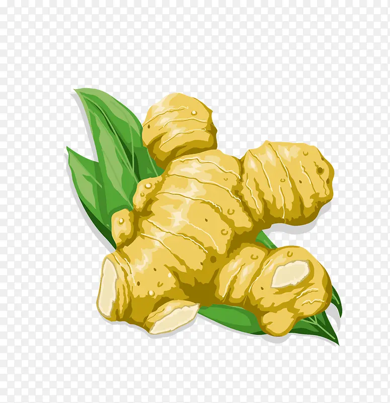 ��ͨ��Ʒʳ����Ͻ�-������