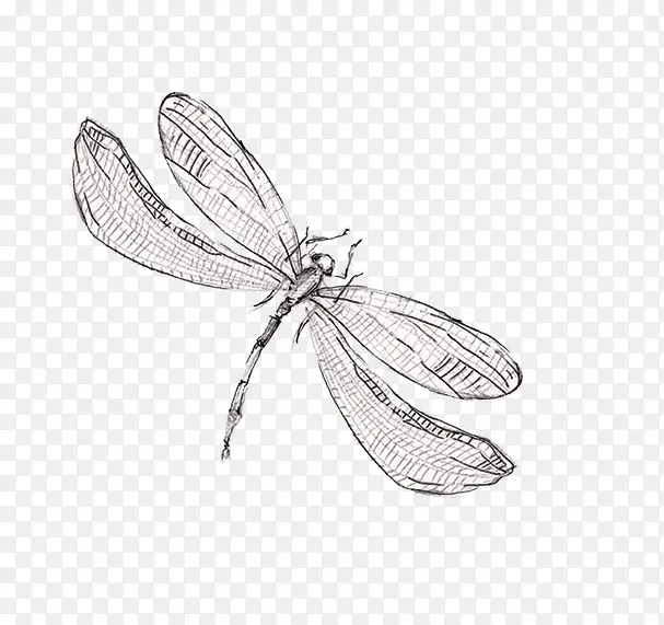 ����-������