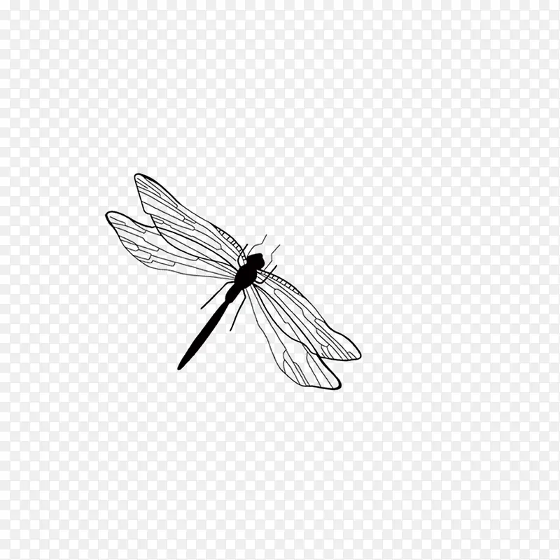 ����-������