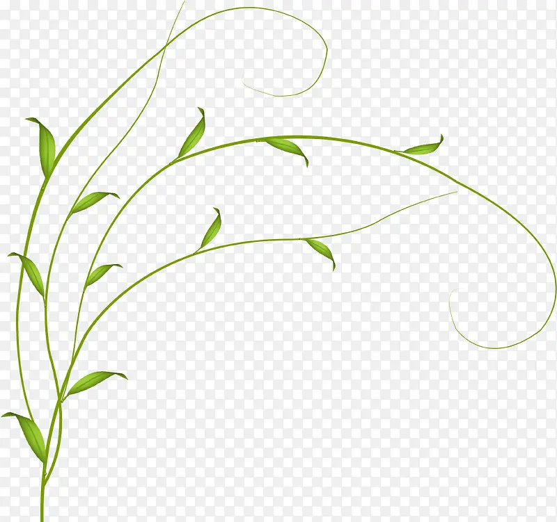 ϸС��Ѿ-������