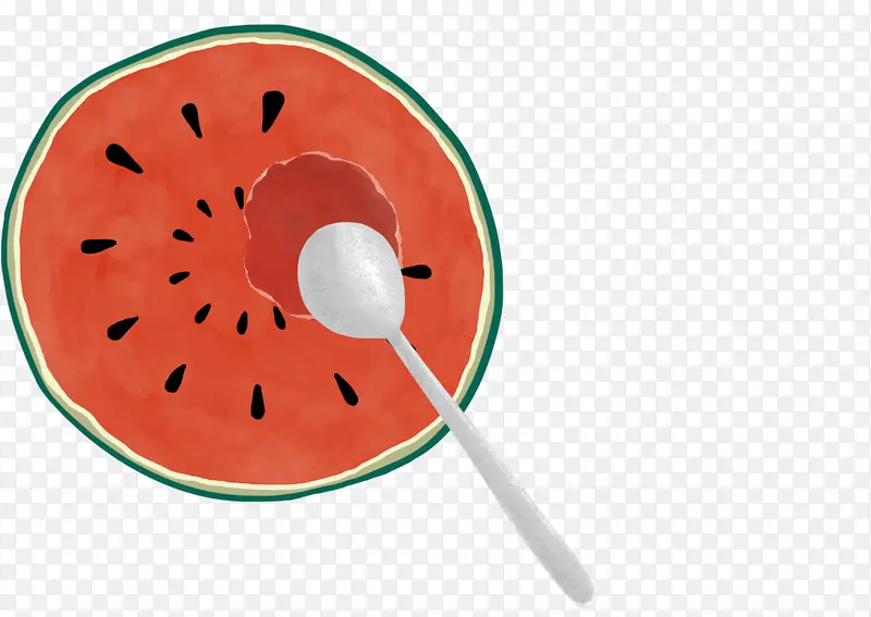 ��ɫԲ������ʳ��Ԫ��-������