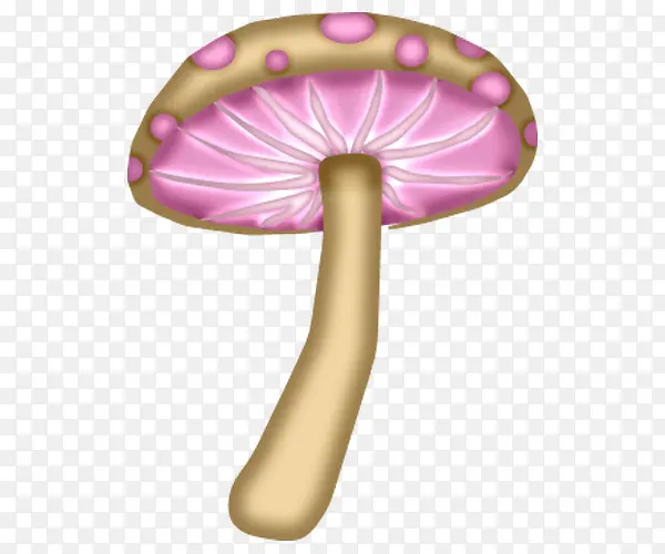 �ֻ�Ģ��-������