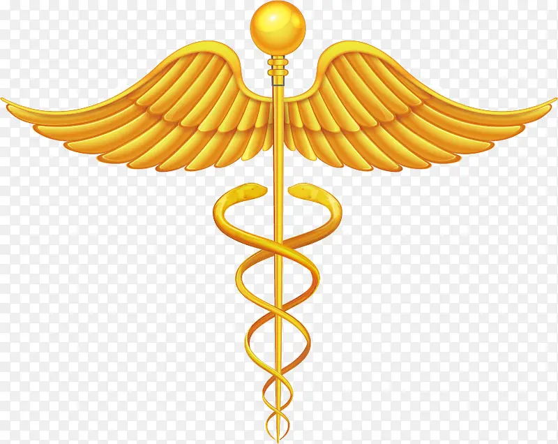 ʸ����ɫ�ĳ����-������