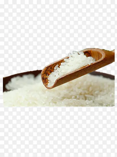 ��ɫ����-������