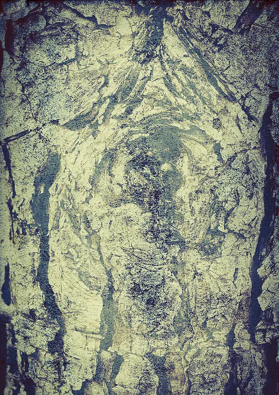 ������Ƥ����-������