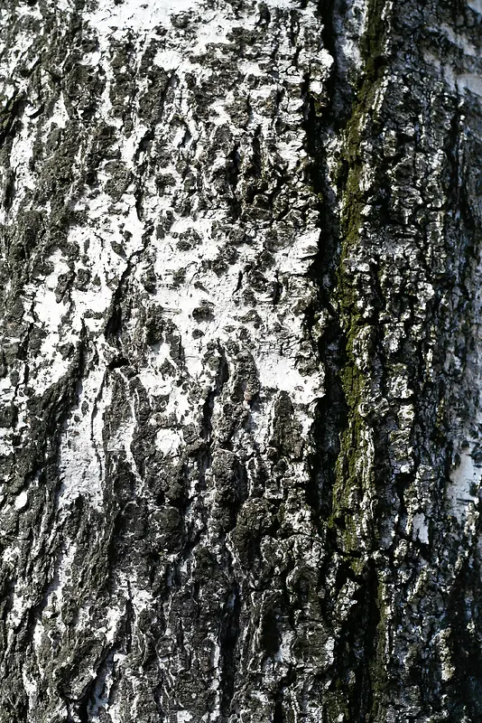 ������������-������