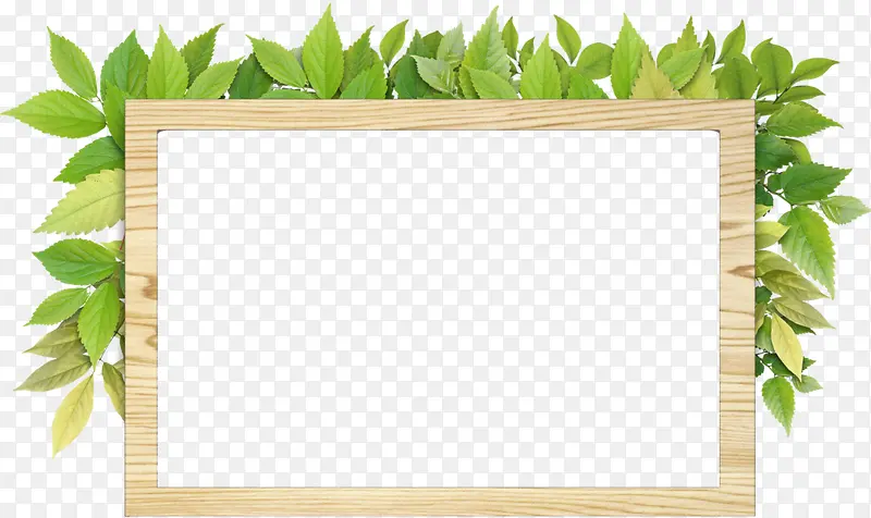 ��ɫ�߿�-������