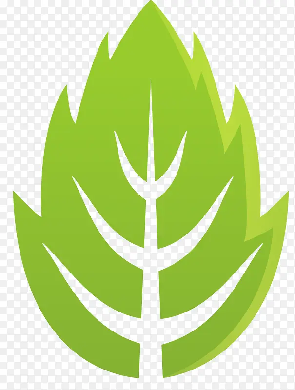 �ԳƵ���ɫҶ��ʸ��ѭ��-������