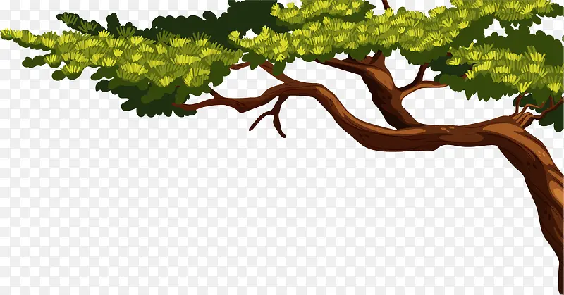 ��ͨ��֦Ҷ��-������