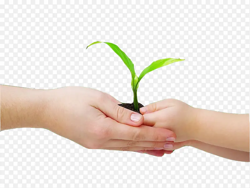 ����С��-������