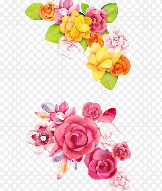 ���ĺ���-������