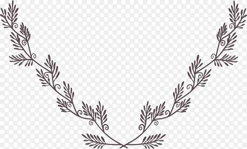 ��ɫֲ��֦��-������