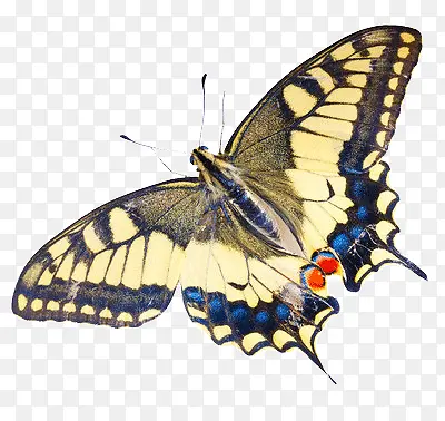 �ڰ׻��Ƶĺ���-������