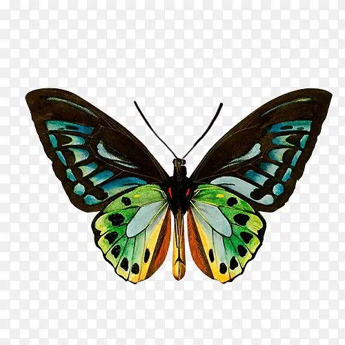 ����-������