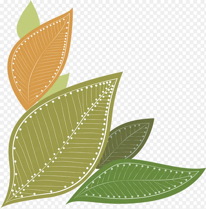 �ֻ���Ҷ-������