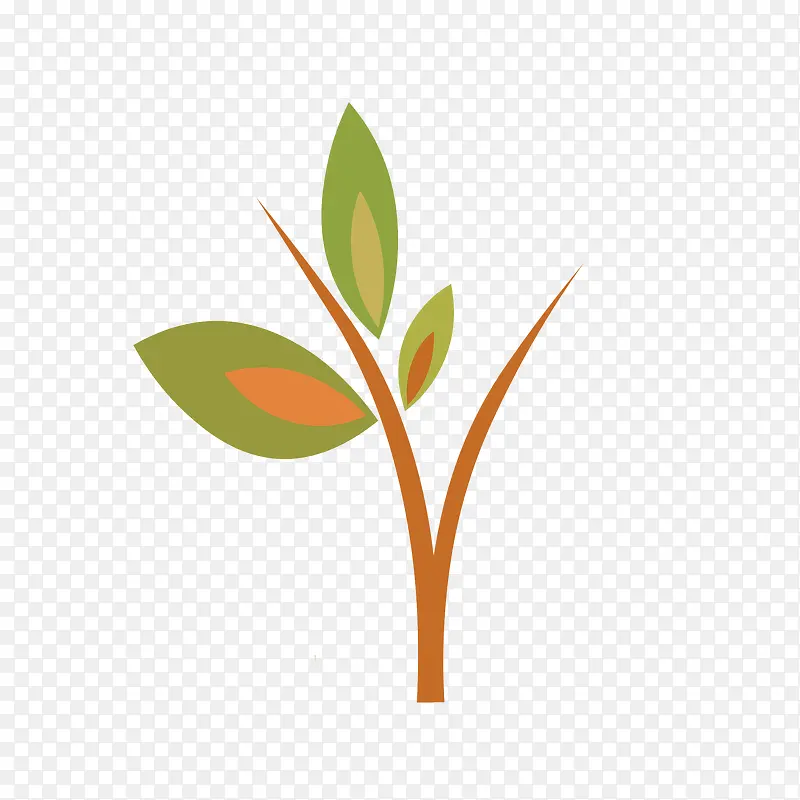 С��֦�ز�-������