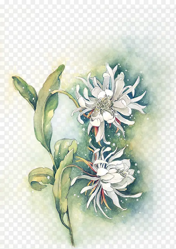 ˮ�ʾջ�-������