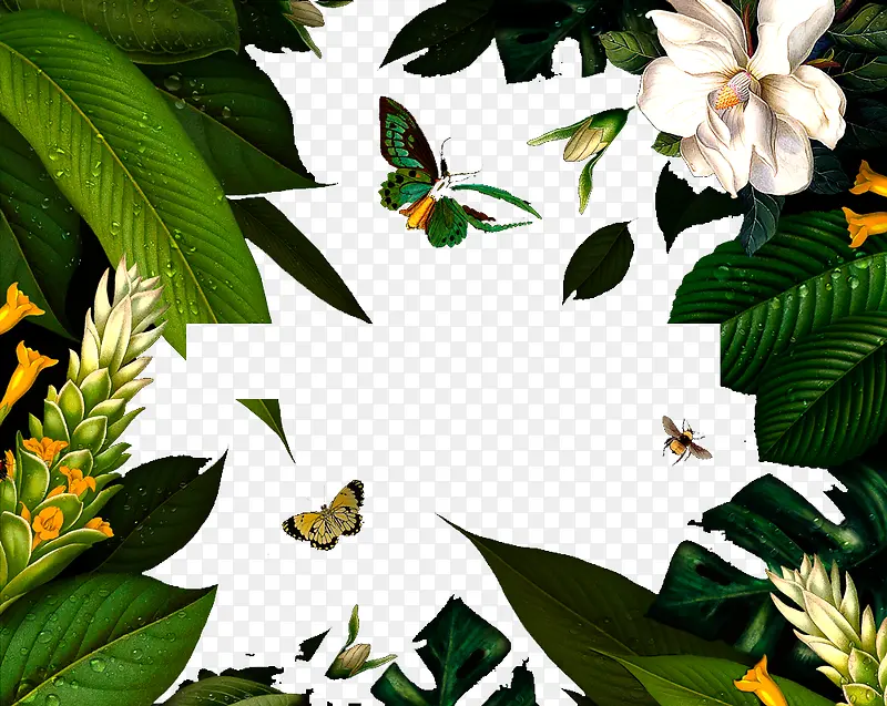 ��ɫ���ӱ���-������