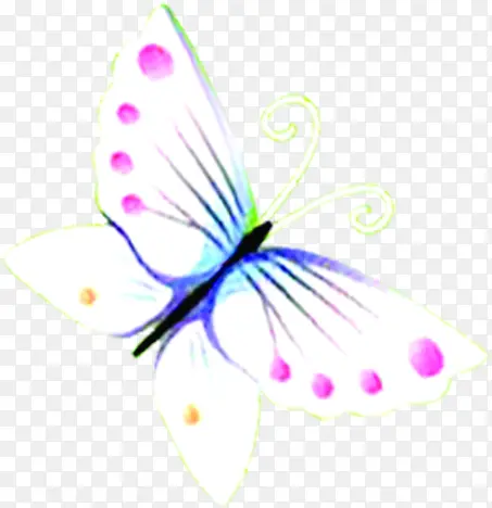 ��ɫ�ߵ��ɫ����-������