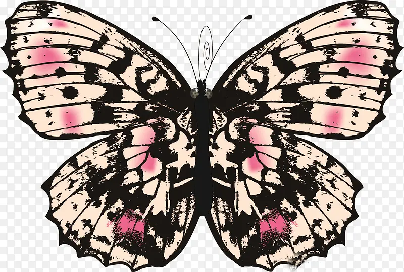 ��ɫ����-������