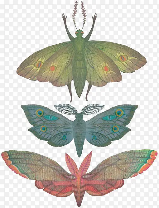 ��ͨ����-������