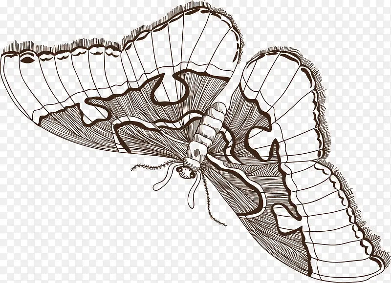 ���ƶ���-������