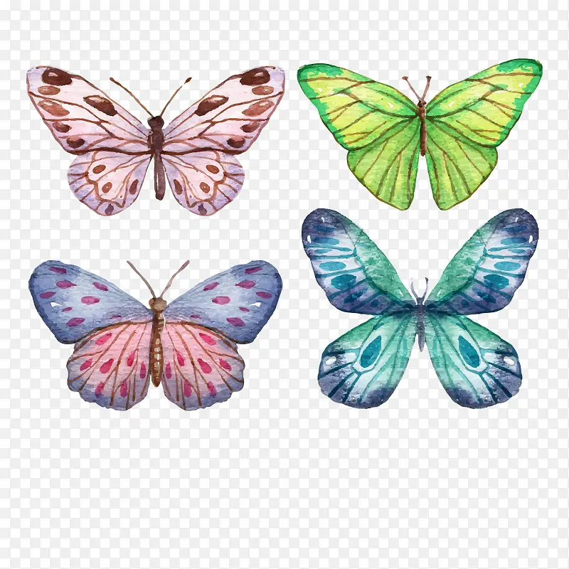 ʸ���ֻ��-������