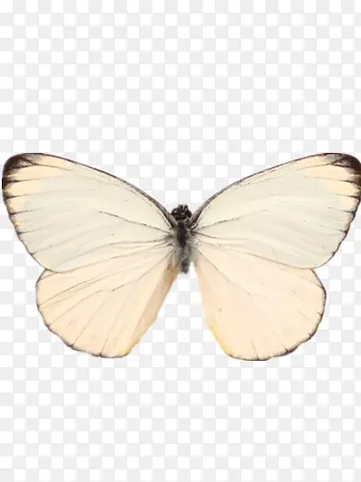 ����-������