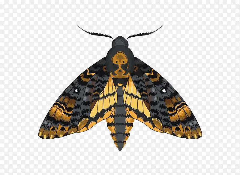 �ֻ����-������