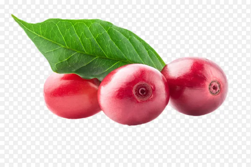 ��ɫ����Ŀ��ȹ�ʵ��-������