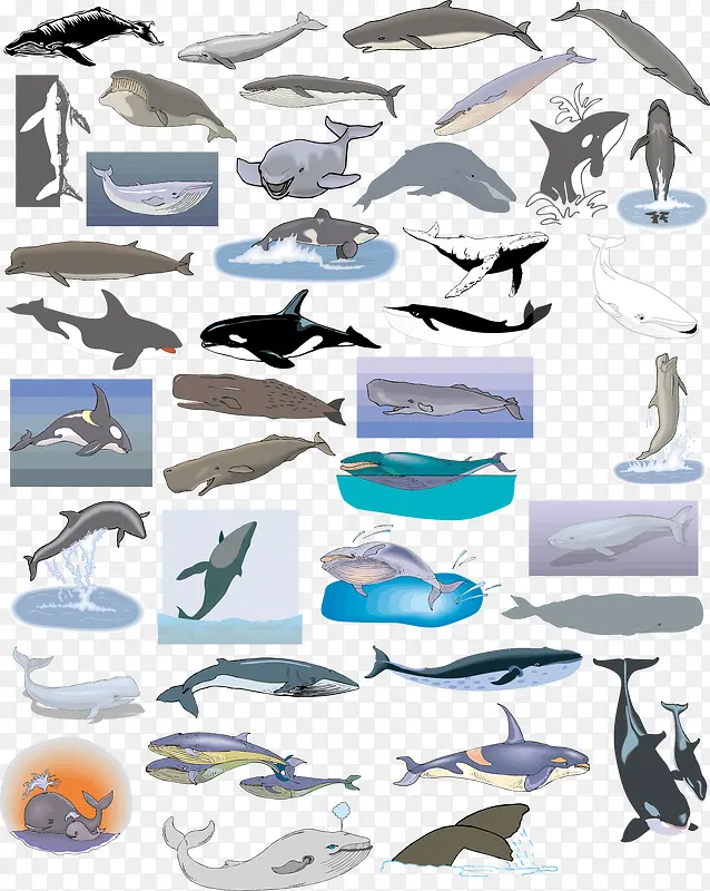 ��ͨ����ʸ���زļ���-������