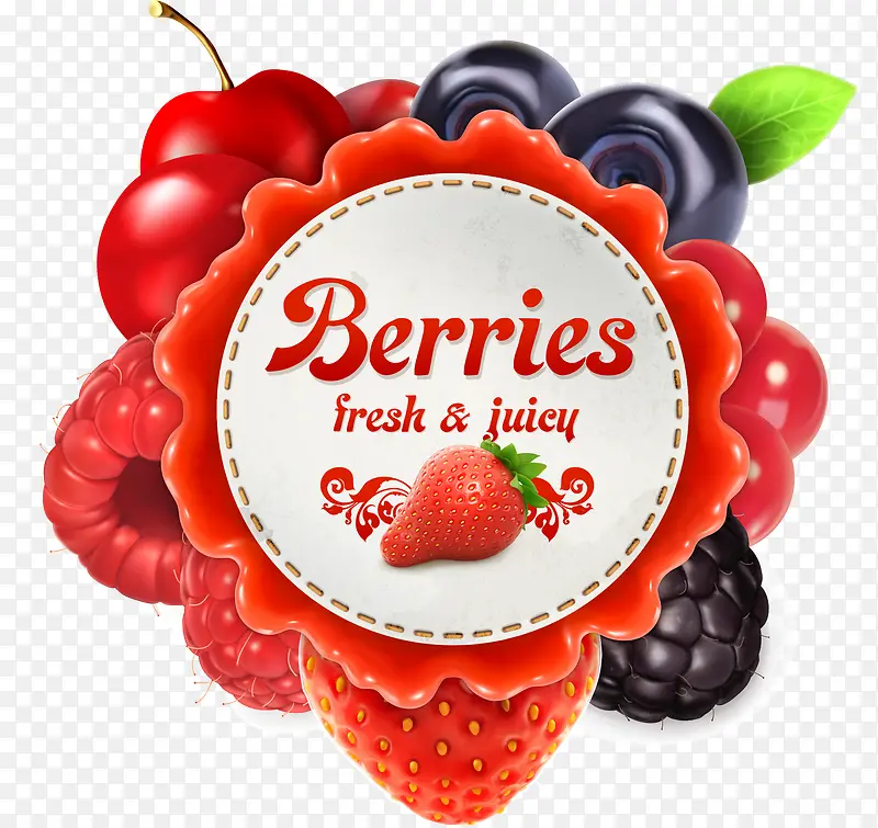 ���Ʊ��� �ɹ� ʸ��ͼ ���Ʊ�-������