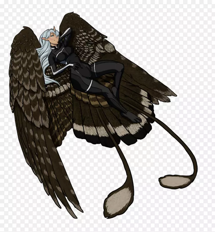 �������Ե-������