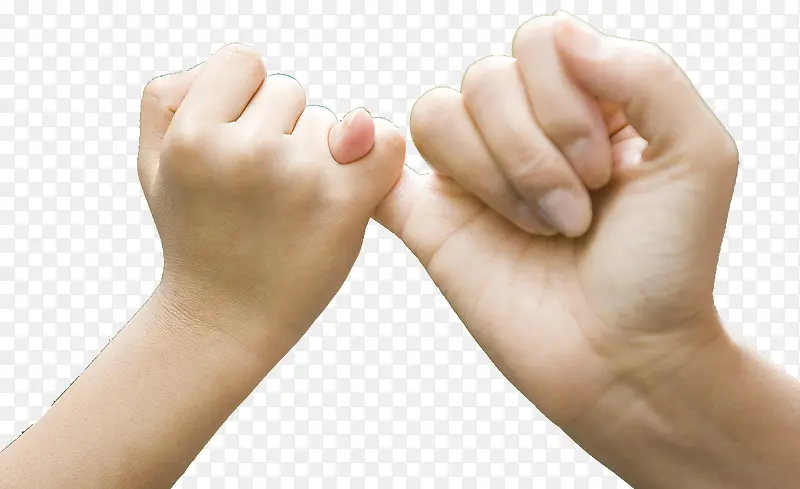 ����ָ��ŵ-������