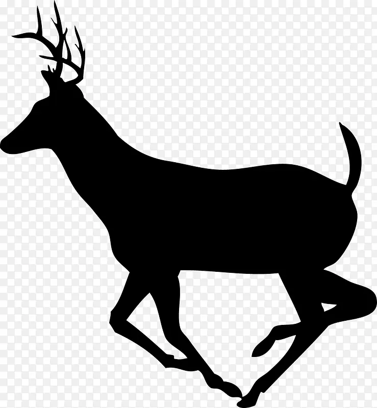 ���ܵ�¹-������