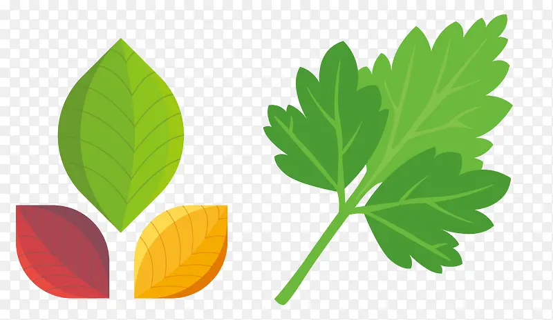 ʸ����ɫ�߲�Ҷ��-������