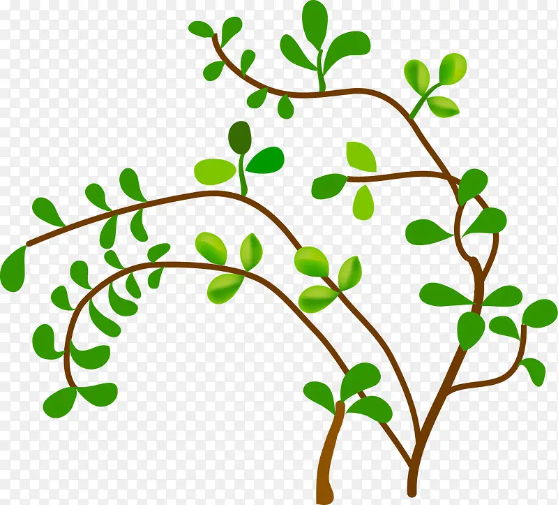 ʸ����ֲװ�����ͼƬ-������