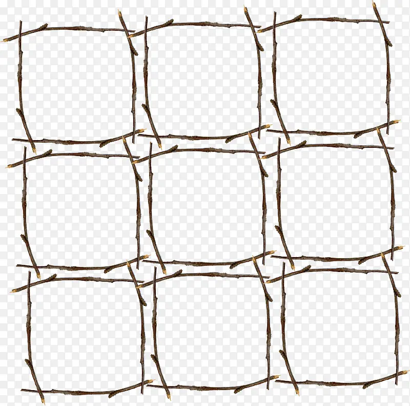 ��֦���-������