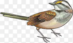 �ֻ�С��-������