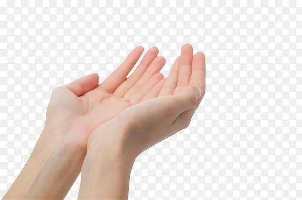 ��ֻ�������-������