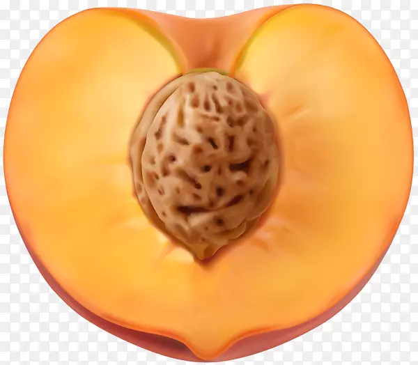 ����ͼ�������-����-������