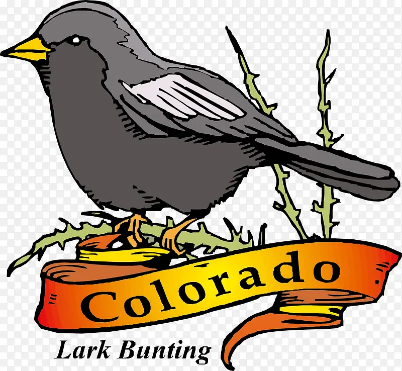 ��ͨ�ֻ��ɫ��֦����Ʈ��-������